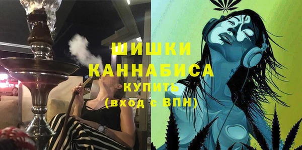 гашик Арсеньев