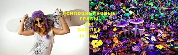 гашик Арсеньев