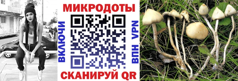 Галлюциногенные грибы Magic Shrooms  наркошоп  Лангепас 